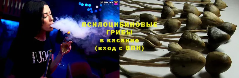 где найти   Зуевка  Галлюциногенные грибы MAGIC MUSHROOMS 