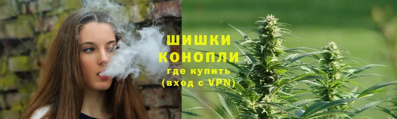 Бошки марихуана THC 21%  Зуевка 